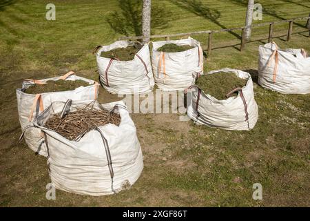 Gruppe von Säcken voll von geschnittenem Gras. Gartenarbeit in öffentlichen Räumen Stockfoto