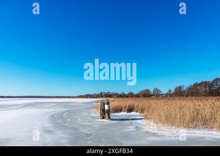 Schilf und Delfine auf dem Bodden bei Wieck auf Fischland-Darss im Winter Stockfoto