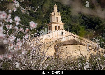 Pfarrkirche La Immaculada Concepcio und Mandelblüte, Caimari, Mallorca, Balearen, Spanien Stockfoto