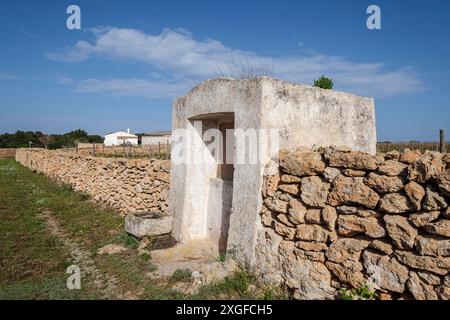 Weinberge der Weinkellerei Terramoll, La Mola, Formentera, Pitiusas-Inseln, Balearen, Spanien Stockfoto