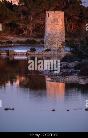 Salzmühle, Formentera, Pitiusas-Inseln, Balearen, Spanien Stockfoto