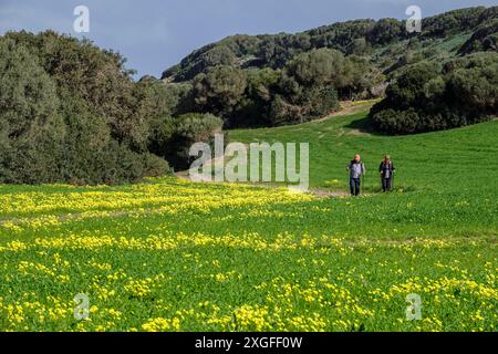 Wandern Sie auf dem Pferdeweg, Cami de Cavalls-, s'Albufera des Grau Naturpark, Menorca, Balearen, Spanien Stockfoto