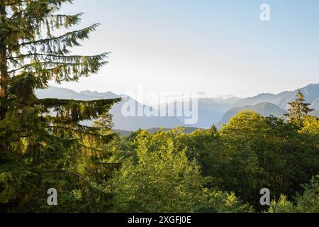 Blick auf die Landschaft vom Burnaby Mountain, British Columbia Stockfoto