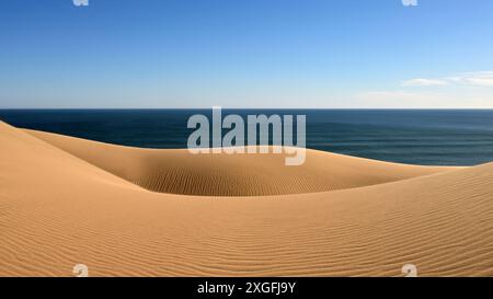 Der gelbe Sand der Namib-Wüste an der Atlantikküste Namibias Stockfoto