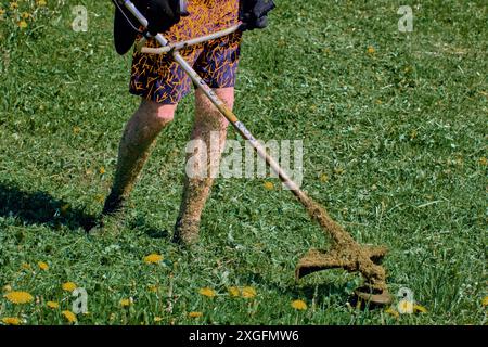 Faden-Trimmer Unkrautfresser zerkleinern Pflanzen auf dem Feld blühender Löwenzahn, Graspartikel bedecken die freiliegende Haut der Gärtner-Beine. Stockfoto