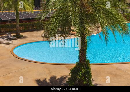 Phuket Thailand. Swimmingpool mit Palmen. Tropischer Pool mit Bäumen. Palmen für den Swimmingpool. Wasserpool mit Palmen. Deck Chai Stockfoto