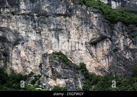 Robuste, verwitterte Felsformation mit spärlicher Vegetation als Hintergrund oder Textur Stockfoto