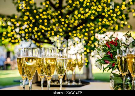 Gläser gefüllt mit Champagner mit hübsch beleuchtetem Baum dahinter Stockfoto