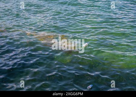 Schmutzige Meeresökokolokalität und Müll-Promlem. Stockfoto