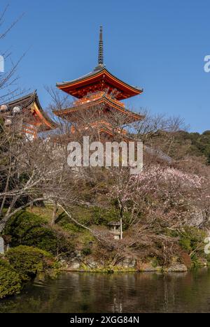 Tempel und Schreine während der Kirschblüte (Sakura) Saison und Festivals, Kyoto, Honshu, Japan, Asien Stockfoto