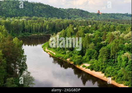 Fluss Gauja mit Schloss Turaida im Hintergrund, rund um Sigulda, Gauja Nationalpark, Region Vidzeme, Lettland, Ostseeraum, Europa Stockfoto