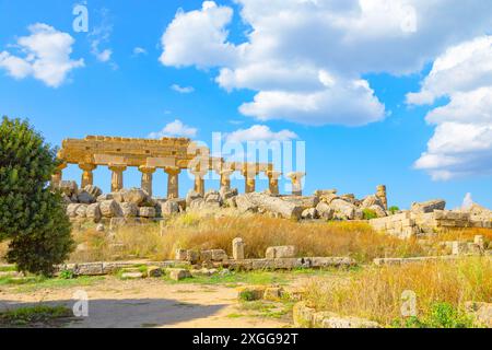 Apollo-Tempel (Tempel C), Archäologischer Park Selinunte, Selinunte, Trapani-Viertel, Sizilien, Italien, Mittelmeer, Europa Stockfoto