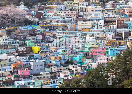 Farbenfrohe Häuser des Gamcheon Culture Village, Busan, Südkorea, Asien Stockfoto