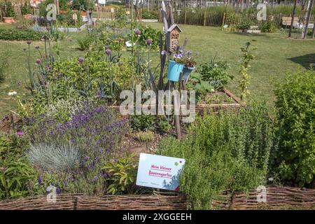 Kirchheim, Deutschland 26. Juni 2024: Im Bild: Mein kleiner Bauerngarten auf der Landesgartenschau in Kirchheim. Landesgartenschau Bayern *** Kirchheim, Deutschland 26 Juni 2024 im Bild mein kleiner Hüttengarten auf der Landesgartenschau Kirchheim Landesgartenschau Bayern Copyright: XFotostandx/xFritschx Stockfoto