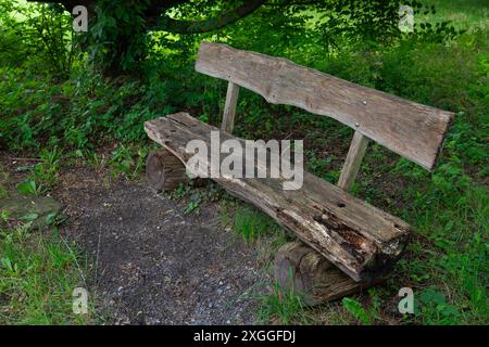 Eine verwitterte Holzbank sitzt unter einem Laubbaum auf einer grasbewachsenen Lichtung. Stockfoto