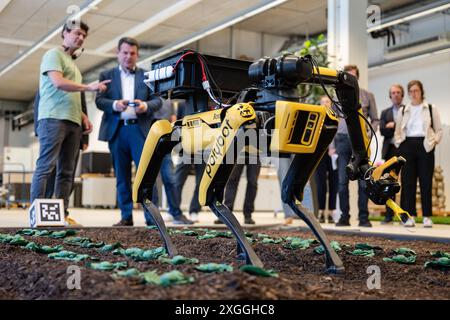 09. Juli 2024, Baden-Württemberg, Tübingen: Bundesarbeitsminister Hubertus Heil (SPD, r) und Wieland Brendl (l) vom Max-Planck-Institut für Intelligente Systeme nehmen an einer Demonstration eines Landwirtschaftsroboters Teil. Heil besuchte das Institut im Rahmen seiner Sommerreise. Foto: Marijan Murat/dpa Stockfoto