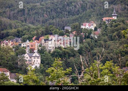 Burschenschaftsdenkmal Eisenach 08072024 - das Eisenacher Suedviertel ist ein historisches Stadtviertel in der thueringischen Stadt Eisenach. Es zeichnet sich durch seine Gruenderzeit- und Jugendstilarchitektur aus, mit vielen gut erhaltenen Villen und Wohnhaeusern. Das Viertel liegt suedlich der Innenstadt und ist von Gruenflaechen und Parks umgeben. Besonders bekannt ist das Suedviertel für seine charmanten, von Baeumen gesaeumten Straßen und die Naehe zur Wartburg. Eisenach Burschenschaftsdenkmal Thüringen Deutschland *** Burschenschaftsdenkmal Eisenach 08072024 das Eisenach Südviertel i Stockfoto