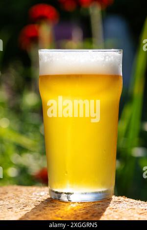 Kaltes Bier in einem Pint Glas an einem sonnigen Tag mit lebhaftem Gartenhintergrund Stockfoto
