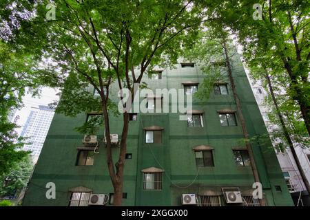 Grünes Apartmentgebäude umgeben von üppigen Bäumen, das urbane Architektur mit Natur verbindet Stockfoto