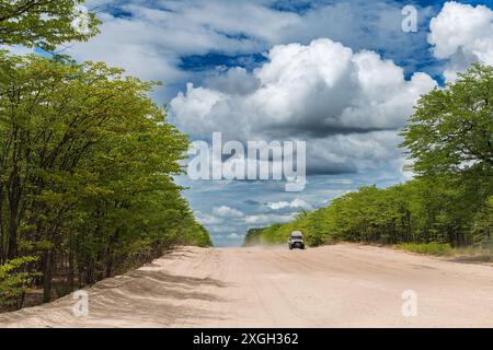 Auto auf einer Sandpiste, Chobe National Park, Botswana Stockfoto