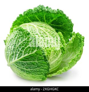 Savoyenkohl isoliert auf weißem Hintergrund. Datei enthält Beschneidungspfad. Stockfoto