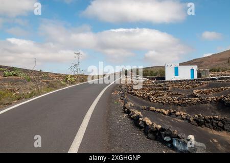 Landstraße auf einem Hügel, gesäumt von traditionellen Weinbergen. Blauer Himmel mit weißen Wolken im Winter. La Florida, Lanzarote, Kanarische Inseln, Spanien. Stockfoto