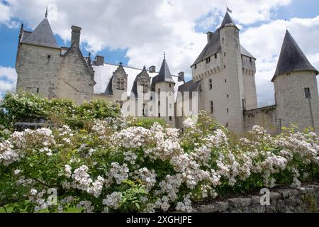 Château du Rivau Stockfoto