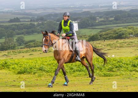 Ausdauerreiter, der an einem Ausdauerrennen in Dartmoor, Großbritannien, teilnimmt Stockfoto