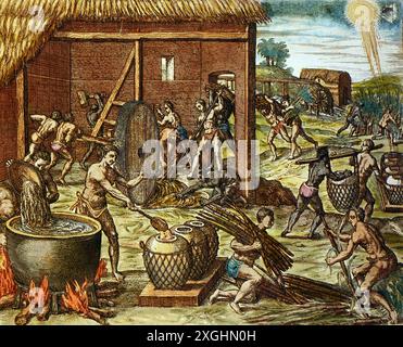 Geographie / Reisen, Amerika, Landwirtschaft, schwarze Sklaven auf Hispaniola machen Zucker, ZUSÄTZLICHE RECHTE-CLEARANCE-INFO-NOT-AVAILABLE Stockfoto