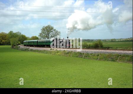 '30053' und Zug in der Nähe von Northiam. Stockfoto