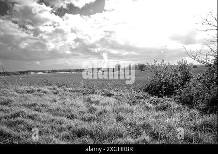 '30053' und ein kurzer Güterzug. Gesehen hier zwischen Northiam und Wittersham Road. Stockfoto