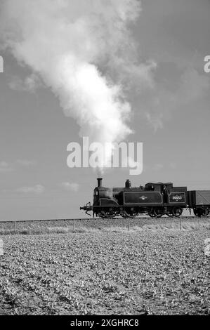 '30053' und ein kurzer Güterzug. Gesehen hier zwischen Northiam und Wittersham Road. Stockfoto