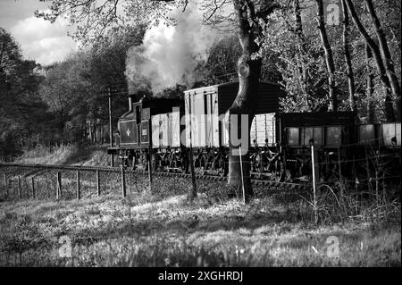 '30053' und ein kurzer Güterzug. Gesehen hier zwischen Northiam und Wittersham Road. Stockfoto