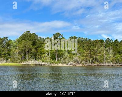 Malerische Ausblicke auf den Adams Creek, Teil des Intracoastal Waterway durch North Carolina Stockfoto