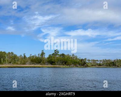 Malerische Ausblicke auf den Adams Creek, Teil des Intracoastal Waterway durch North Carolina Stockfoto