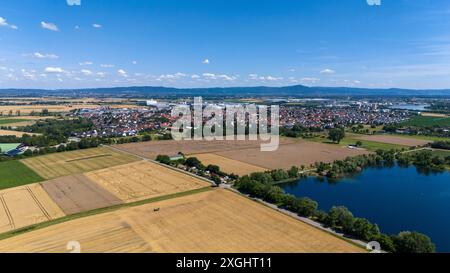 09. Juli 2024, Hessen, Biebesheim am Rhein: Blick auf die Gemeinde im südhessischen Landkreis Groß-Gerau mit der Bergstraße im Hintergrund. Die Afrikanische Schweinepest wurde erstmals bei einem Hausschwein in Hessen festgestellt. Betroffen ist ein Betrieb mit neun Schweinen in Biebesheim am Rhein. Foto: Andreas Arnold/dpa Stockfoto
