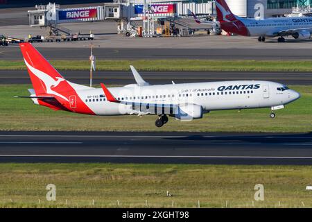 Qantas Airways Boeing 737 landet am Flughafen Sydney. Flugzeug B737 von Qantas Airline kommt an. 737-800 Ebene. Stockfoto