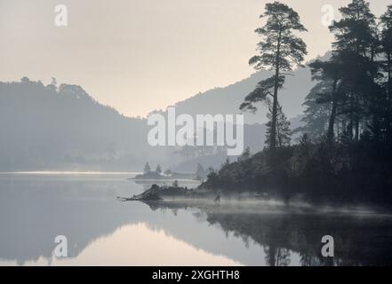 Glen Affric einheimischer Kiefernwald und Loch Benevean am frühen Morgen mit Nebel, der von der Wasseroberfläche aufsteigt, Glen Affric National Nature Reserve, Schottland Stockfoto