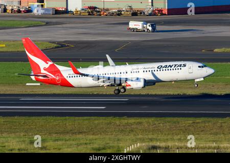 Qantas Airways Boeing 737 landet am Flughafen Sydney. Flugzeug B737 von Qantas Airline kommt an. 737-800 Ebene. Stockfoto