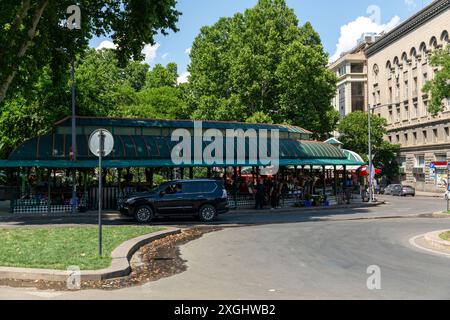 Tiflis, Georgien - 23. JUNI 2024: Mtatsminda Blumenmarkt in Tiflis, Georgien. Stockfoto