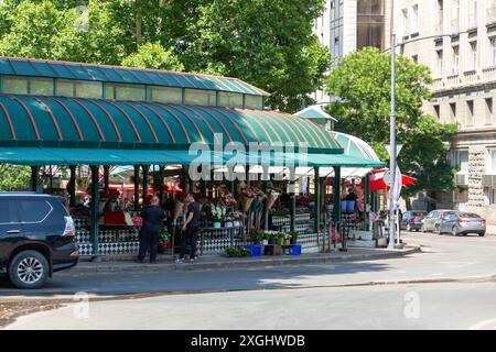 Tiflis, Georgien - 23. JUNI 2024: Mtatsminda Blumenmarkt in Tiflis, Georgien. Stockfoto