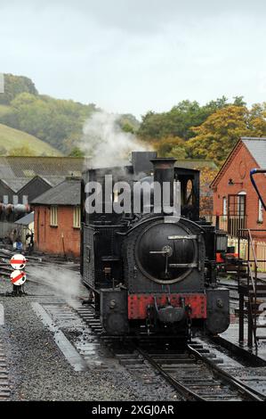 "Der Earl" bei Llanfair Caereinion. Stockfoto
