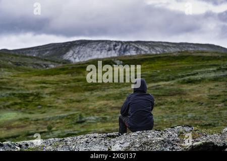 Ein einsamer Wanderer sitzt auf einem Felsvorsprung und blickt auf die weite, grüne Weite der norwegischen Berge mit dramatisch bewölktem Himmel Stockfoto