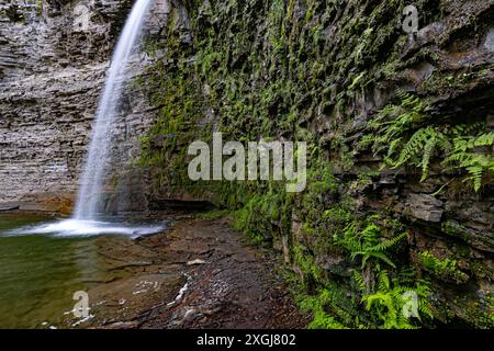 Farne bevölkern die Canyonwände der Eagle Cliff Falls im Havana Glen County Park im Tompkins County, New York Stockfoto