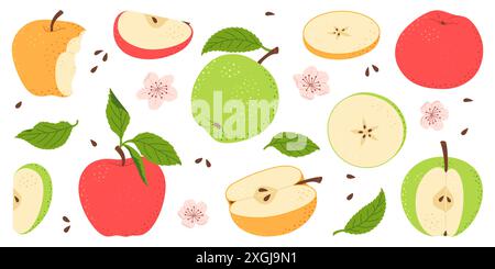 Apfelfrucht Vektorset. Ganze, halbe Scheibe rote grüne und gelbe Apfelfrucht mit grünen Blättern und Blumen Sammlung. Hand gezeichnet flache Art isolierte Vektorillustration Stock Vektor