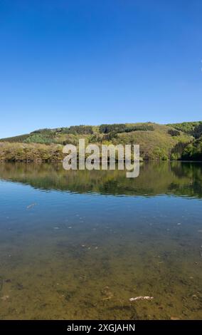 Europa, Luxemburg, Insenborn, Lac Sure aus Plage de Burfelt Stockfoto