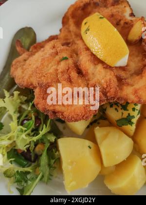 Gebratenes Schweineschnitzel, serviert mit gekochten Kartoffeln, einem Beilagensalat und Zitronenkeil. Vertikales mobiles Foto. Sstkvertical Stockfoto