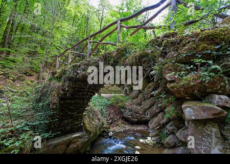 Europa, Luxemburg, Grevenmacher, Müllerthal Trail, alte Steinbrücke über den Schwarzen Ernz in der Nähe des Schiessentumpel Wasserfalls Stockfoto