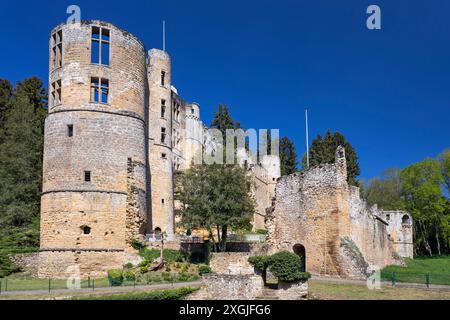 Europa, Luxemburg, Grevenmacher, Burg Beaufort Stockfoto