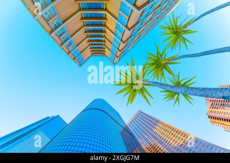 Die dynamische Perspektive von Grund auf zeigt hohe Palmen vor modernen Wolkenkratzern unter klarem blauen Himmel in der Innenstadt von Los Angeles und kombiniert urbanes miteinander Stockfoto